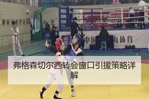 弗格森切尔西转会窗口引援策略详解